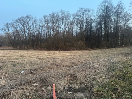 Działka budowlana przy lasku Wielkie Drogi/Zelczyna/Krzęcin