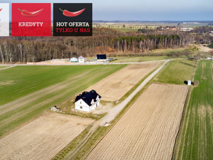 Działka Osłonino ul. Kasztanowa