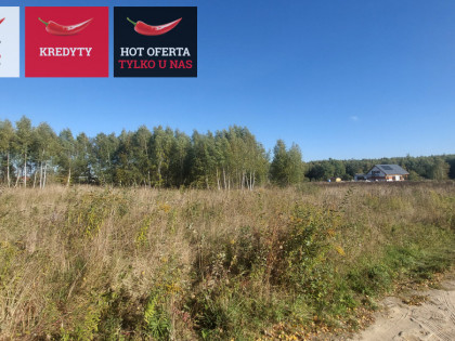 Działka Bielkówko ul. Gajowa