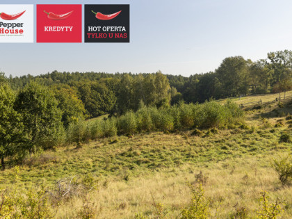 Działka Huta Dolna ul.  