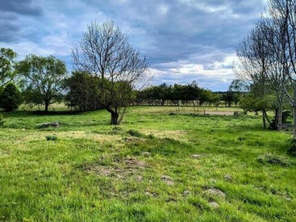 Działka siedliskowa w Zabielne 18 ar