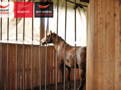 Lokal Krubki-Górki ul.  