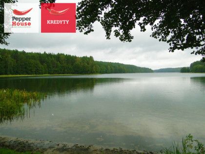 Działka Skorzewo ul.  