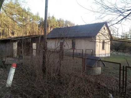 Wynajmę dom