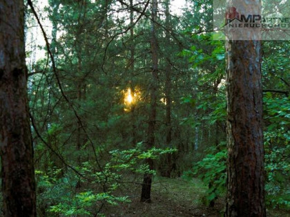 7810m2/działka bud. 4965m2/2845m2LAS