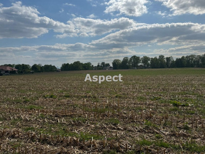 Działka Wisła Wielka