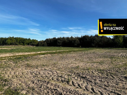 Działka Deszno rynek pierwotny ul.  