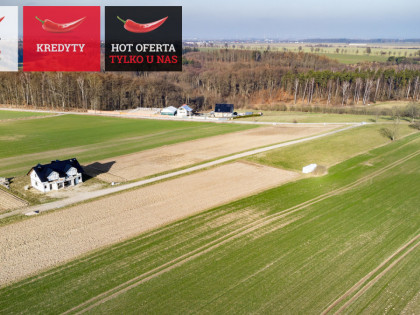 Działka Osłonino ul. Kasztanowa