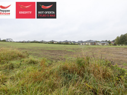 Działka Leźno ul. Aleja Lipowa