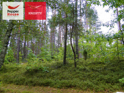 Działka Skorzewo ul.  