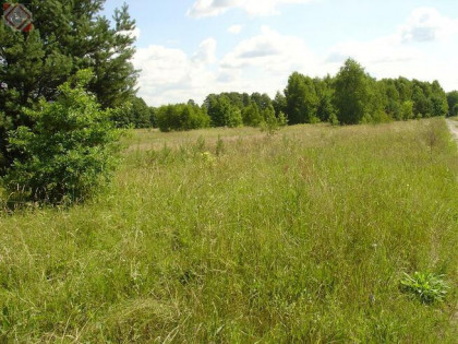 Działka Rumianka gm. Żabia Wola