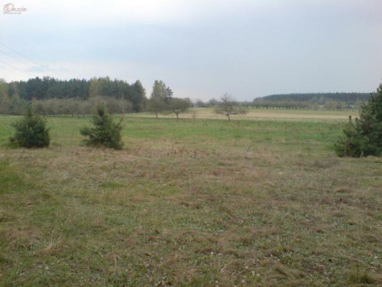 Działka Zaręby gm. Żabia Wola