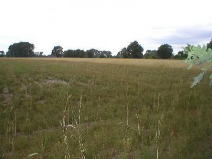 Działka Chrzanów Mały gm. Grodzisk Mazowiecki