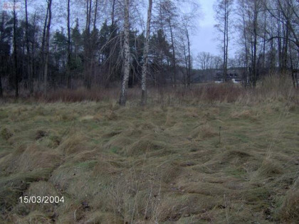 Działka Zalesie gm. Żabia Wola