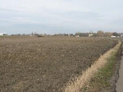 Działka Piorunów gm. Władysławów