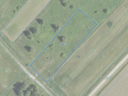 Działka * SPRZEDAŻ * Trzciana gm. Czermin * 2032 m2