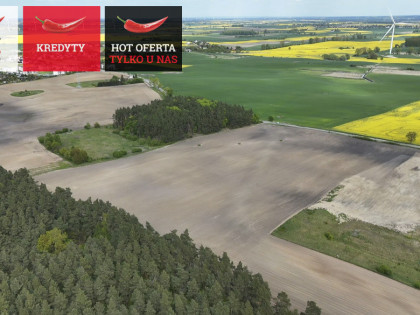 Działka Rajkowy ul. Jesionowa