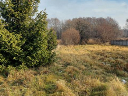 Działka Chruszczobród