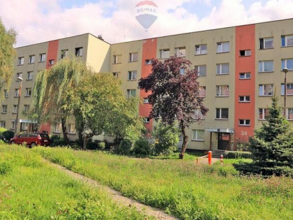 3-pokojowe mieszkanie blisko centrum i Parku Śl.