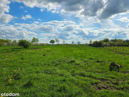 Działka budowlana w Dryżynie - blisko Głogowa!