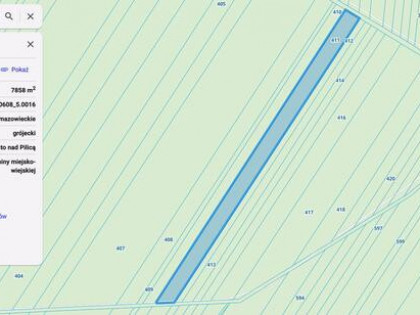 70-letni las sosnowy 5,6 ha woj. Mazowieckie