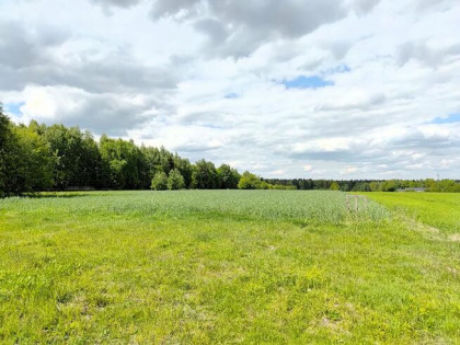 Działka budowlana Borkowice gm. Dłutów,