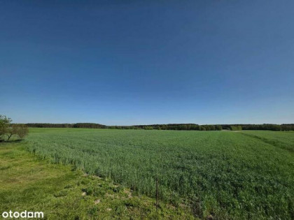 Piękne działki w Kaszczorze, blisko Jeziora Wieleńskiego
