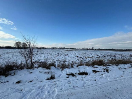 Działka rolna (łąka) Poznań