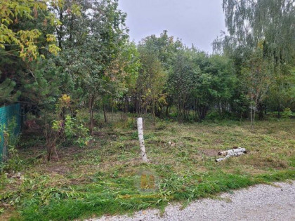 Działka budowlana Leszno, Podzaborówek