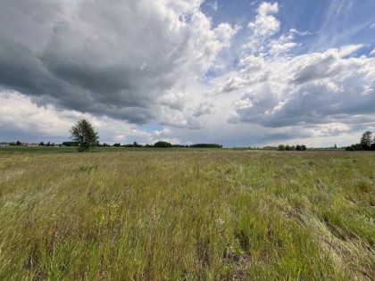 Działka budowlana Miłkowice, Południowa