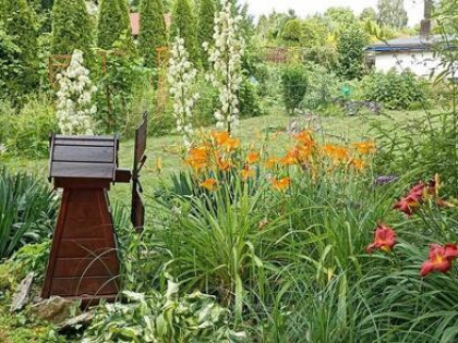 Działka ROD inna niż wszystkie! Sosnowiec