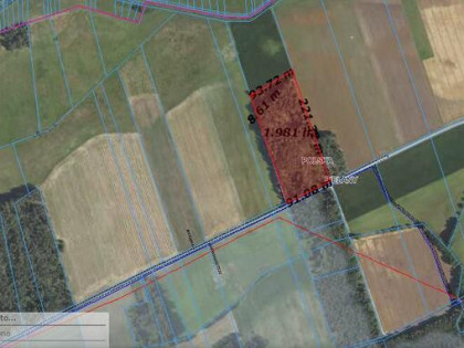 Sprzedam działkę idealną pod siedlisko bez sąsiadów - 2ha +
