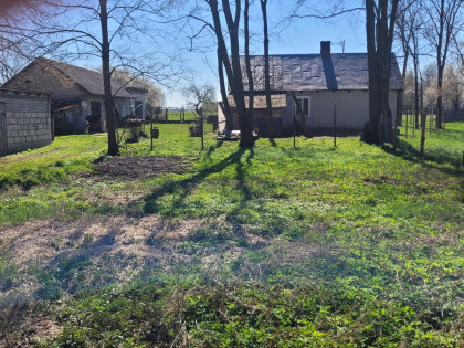 Sprzedam siedlisko w Górznie