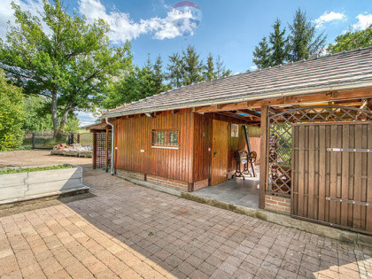 Brzeźnica Slow Life - natura, historia, możliwości