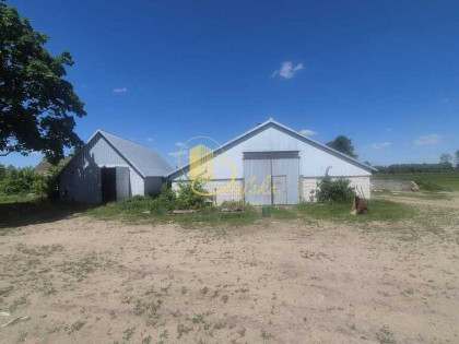 Dom i gospodarstwo z potencjałem  Czechowizna