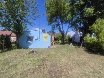 Dom i gospodarstwo z potencjałem  Czechowizna