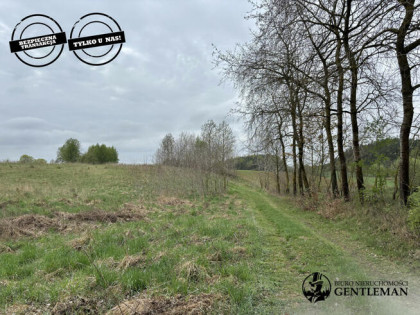 Działka siedliskowa Liniewko Kościerskie gm. Nowa Karczma,