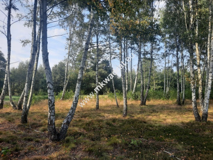 Działka mieszkaniowo-usługowa Nadarzyn M Kwadrat