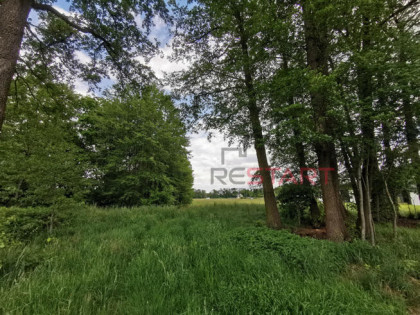 Działka budowlana Kałęczyn gm. Grodzisk Mazowiecki,