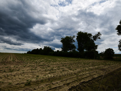 Grunt z MPZP - Przeworsk