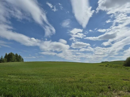 Sprzedam ziemię rolną pod siedlisko lub zabudowę