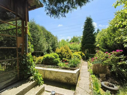 Ogród na ROD Żeromskiego - 1000 m2 - urokliwe i zaciszne