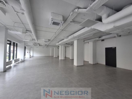 Wynajem Lokalu - pow: 300 m² / Centrum Siedlec