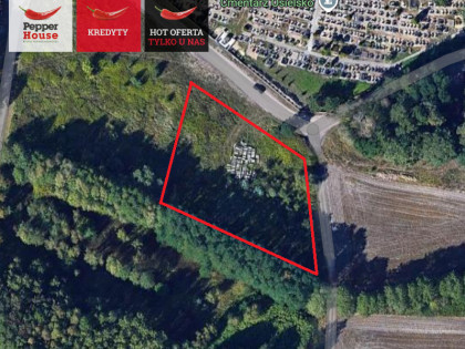 Działka Osielsko ul. Magnoliowa