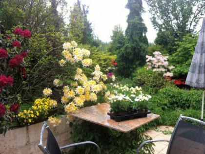 Legionowo Przy SKM.Wolnostojący 112m2.Garaż 27m2