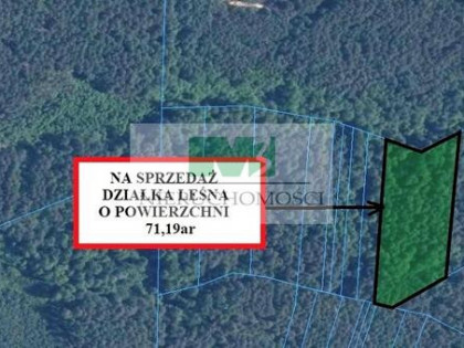 DO SPRZEDAŻY DZIAŁKA LEŚNA W GIEDLAROWEJ