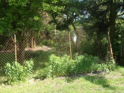 sprzedam Działkę RODO