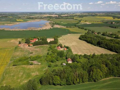 odnowione siedlisko nad rozlewiskiem