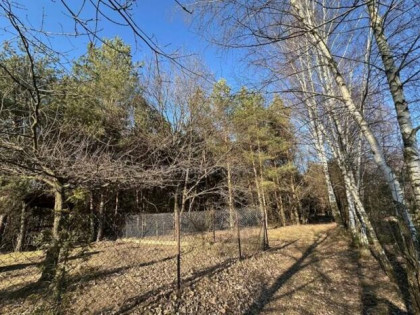 Inwestycja w naturę – Leśna działka w doskonałej lokalizacji