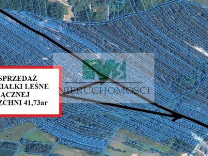 DO SPRZEDAŻY DWIE DZIAŁKI LEŚNE W GIEDLAROWEJ
